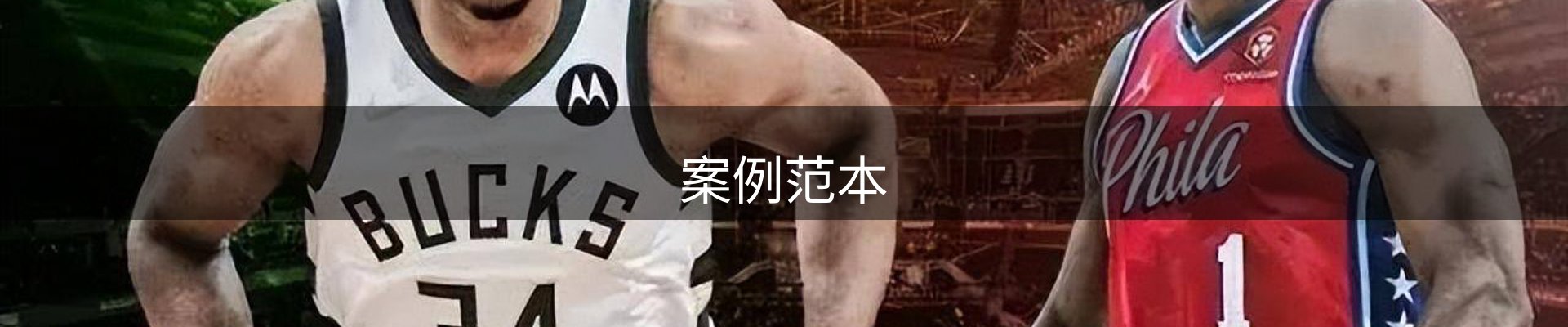 案例范本